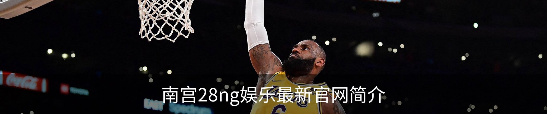 南宫28ng娱乐最新官网简介